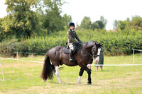 Class 15 - Hunter and Show Hunter