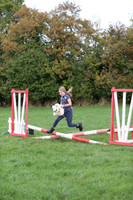 Showjumping