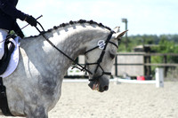 Glebe Farm Equestrian Centre Open - Dressage & Trailblazers 2nd Rounds 26-06-2022