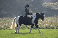 Class 13 - Novice Horse and Pony