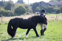 Class 34 - Best Mane and Tail