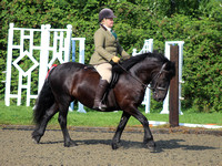 Rusden and District Riding Club Showing Show 05-09-2021