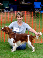 Class 3 - Any Variety: Sporting Dogs