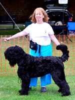 Class 4 - Any Variety: Non-Sporting Dogs