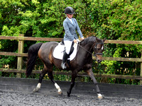 Warehill Equestrian Centre Dressage 21/07/2019