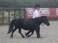 Rushden and District Riding Club 13/08/2020