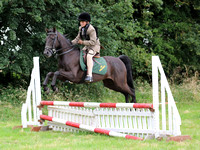 Offley and District Riding Club 01/08/2021