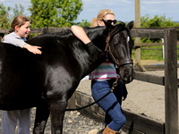 Glebe Farm Equestrian Centre Showjumping 29-05-2022
