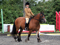 Class 30 - Cob, Traditional or Hogged