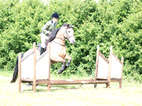 Clear Round and 40cm - 50cms Working Hunter