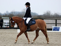 Glebe Farm Equestrian Centre Dressage 23-01-2022